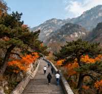 泰山初秋攻略 | 登高賞景正當時，雲海紅葉兩相宜！
