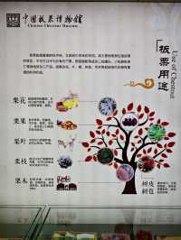 栗香滿溢,歲月醇厚:國家板栗文化館