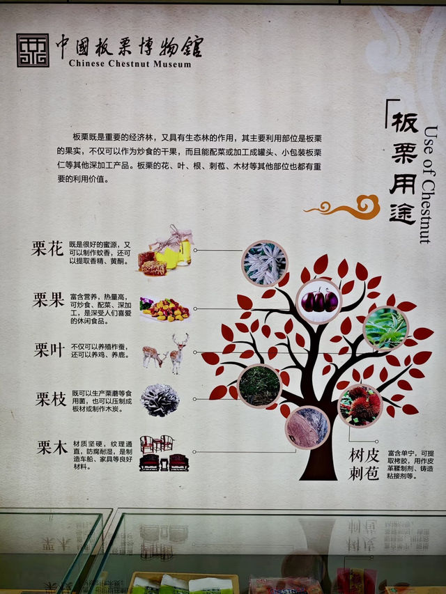 栗香滿溢,歲月醇厚:國家板栗文化館 栗香滿溢,歲月醇厚:國家板栗文化館