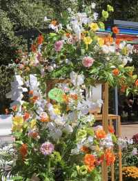 沈陽秋日躺玩攻略:住豪澤芮茲慢賞秋