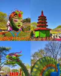 瀋陽秋日行：豪澤暖意伴，世博入畫來