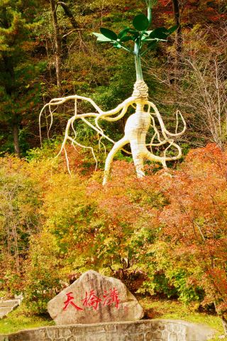 랴오닝 톈차오커우가 중국에서 가장 아름다운 단풍 명소로 선정되었다고? 진짜 체험 대공개!