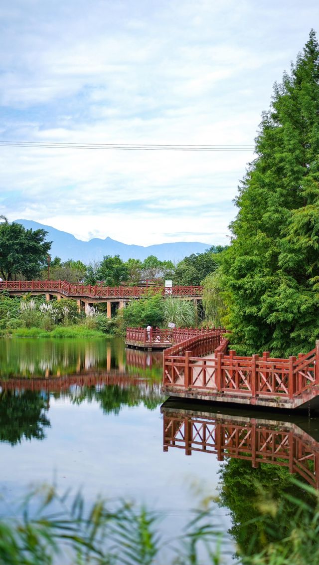 樂山必打卡綠心公園