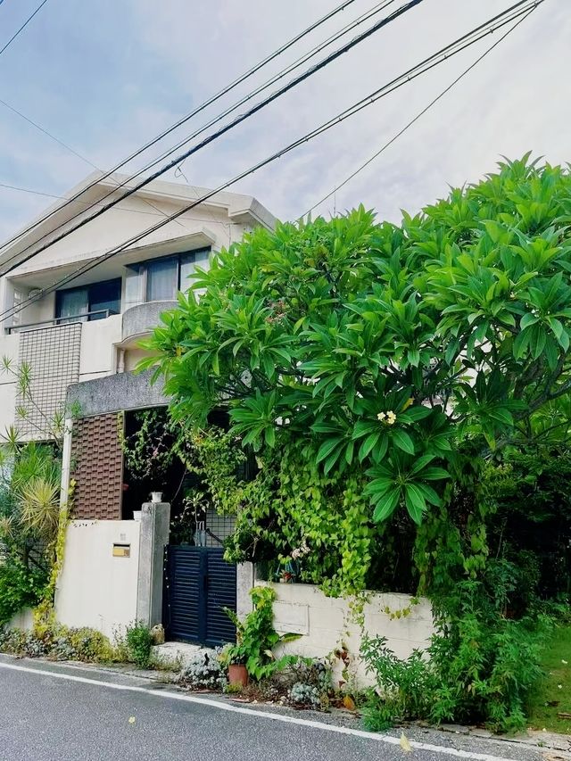 溫馨炸裂沖繩那霸必住民宿，房東暖到喊