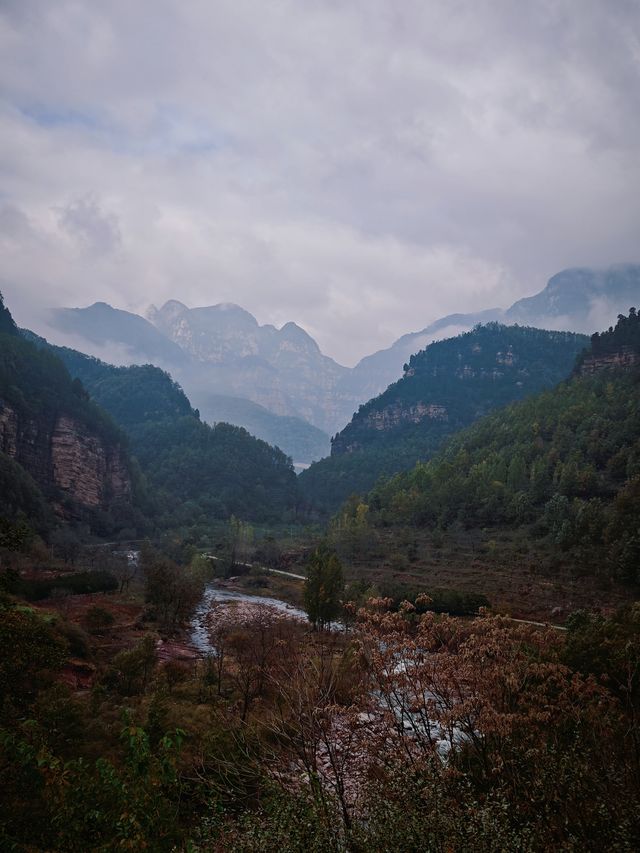 迷境尋鮮