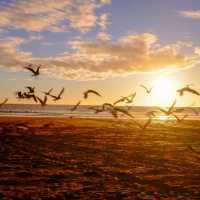 Agadir – Sunset by the Beach 🌅🌊