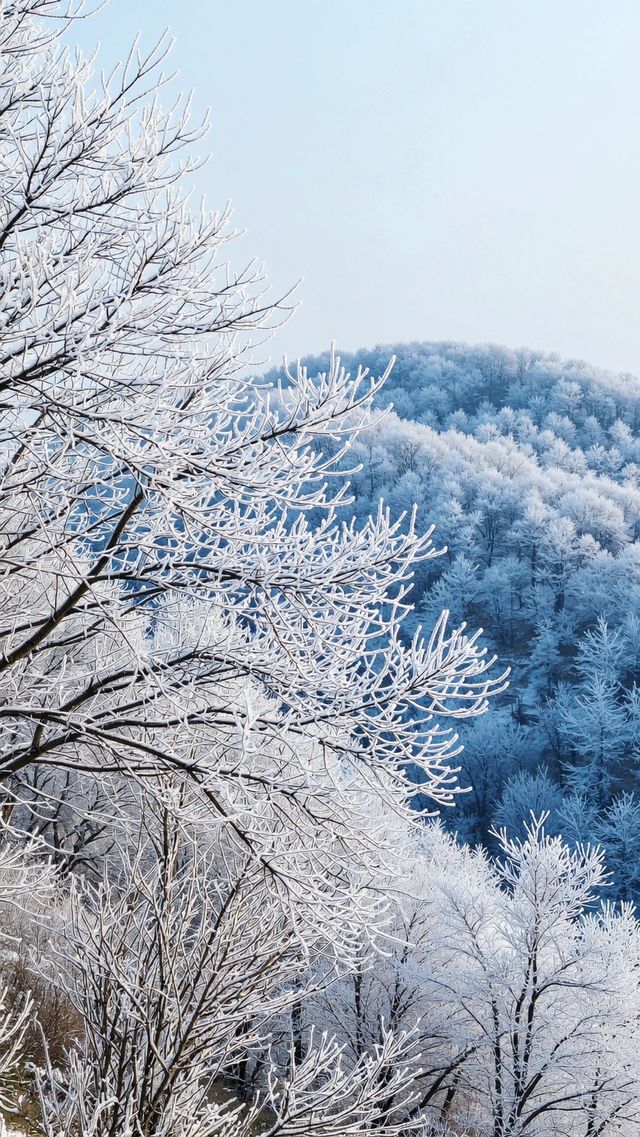 看嵩山雪景，約嗎