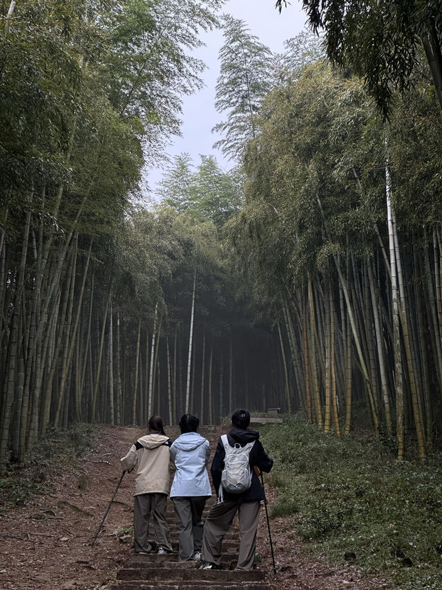 蔣公古道｜江浙免費徒步寶藏小環線，衝就完事兒！
