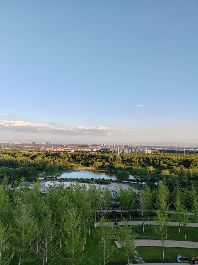 太原植物園遛娃攻略網紅大扶梯+猴面包樹
