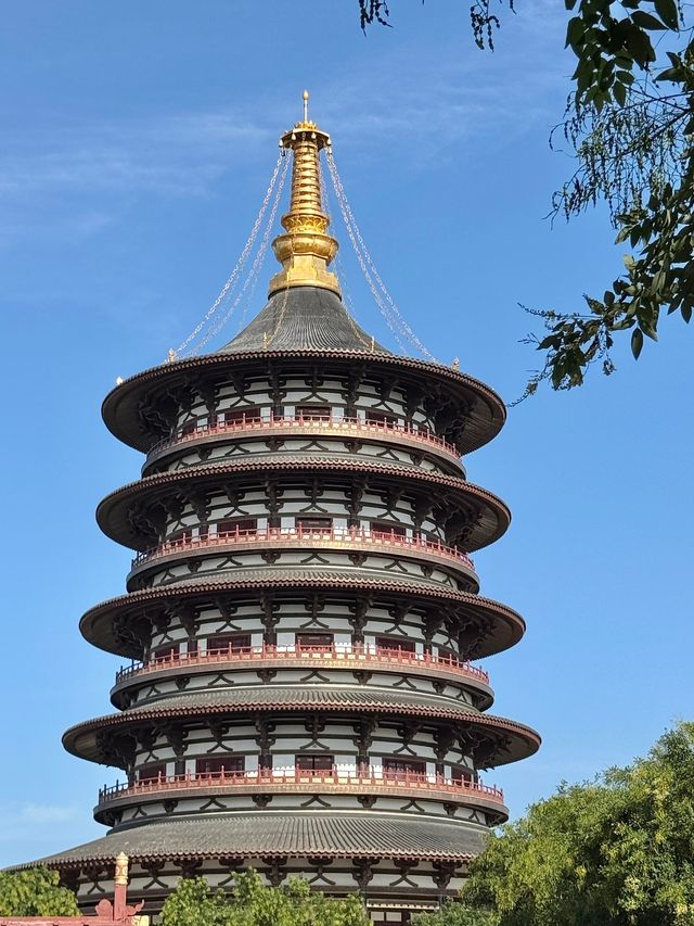 洛陽絕絕子！隋唐古城穿越之旅美到哭