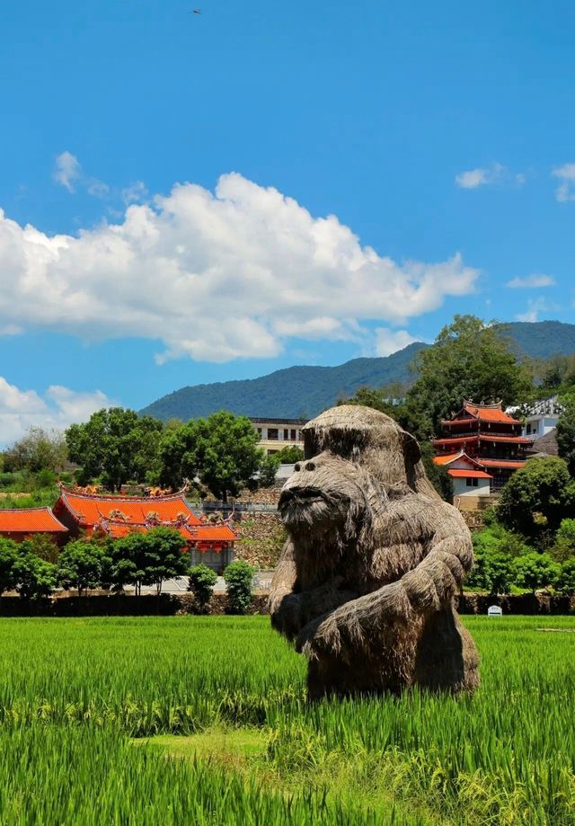 廈門周邊1h直達！藏在土樓旁的「漫畫稻田」，治癒所有疲憊
