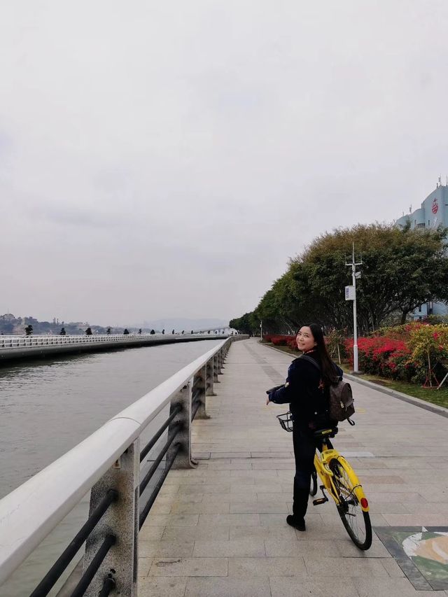 漫步沙坡尾 漫步沙坡尾