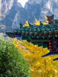 五老峰·秋|運城「雲端金脊」上線!