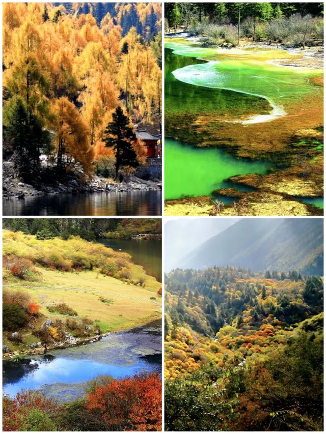 來木格措感受聖湖純淨與雪山巍峨的完美融合