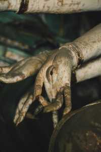 第一眼看到還是很震撼的