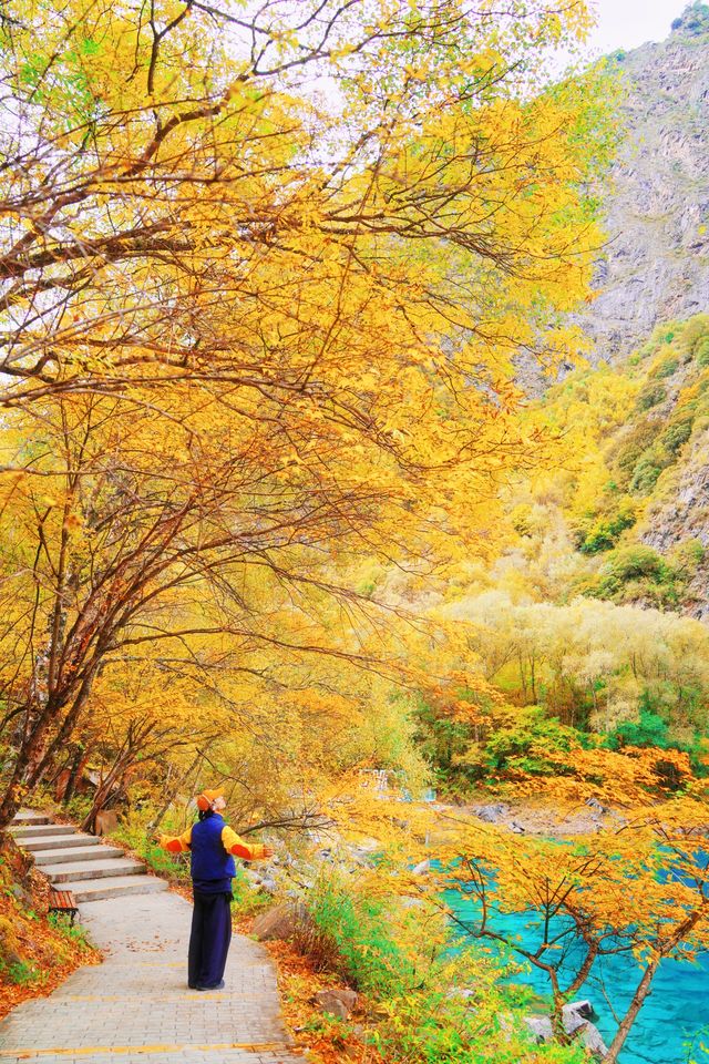 接下來的川西小九寨！堪稱秋天旅行天花板.. 限時1個月！！川西小九寨「松坪溝」秋色巔峰期來了！ 