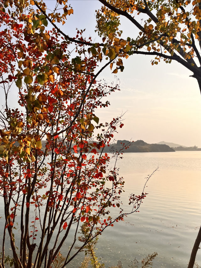 金秋打卡神仙湖秘境