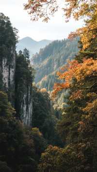 11月的湘西四天三晚，慢遊秘境山水！玩轉苗寨煙火！