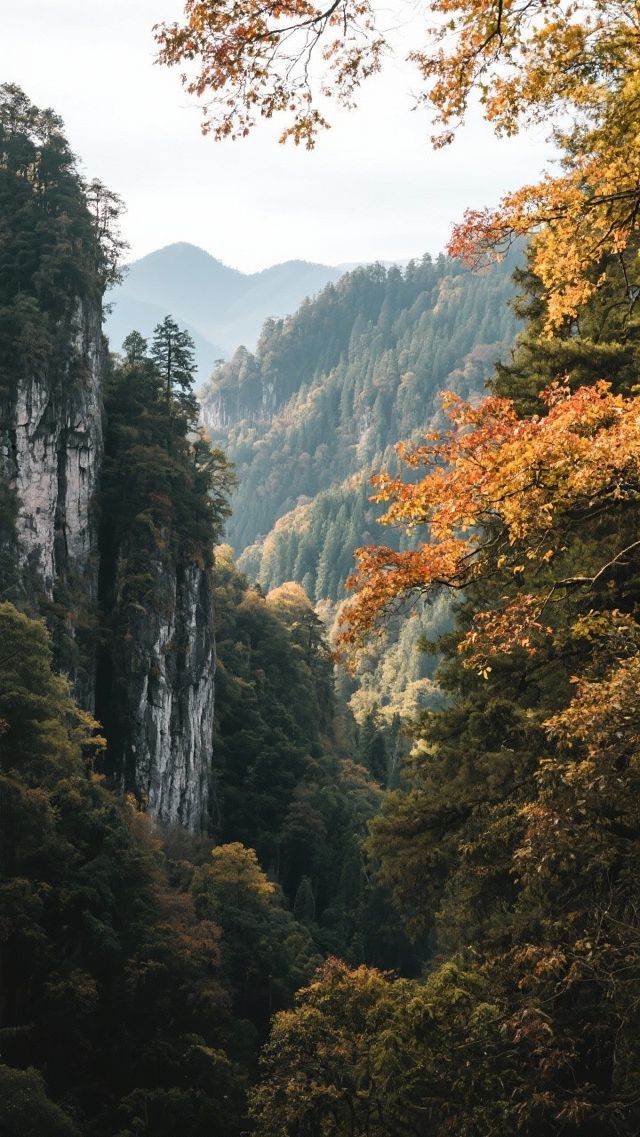 11月的湘西四天三晚，慢遊秘境山水！玩轉苗寨煙火！