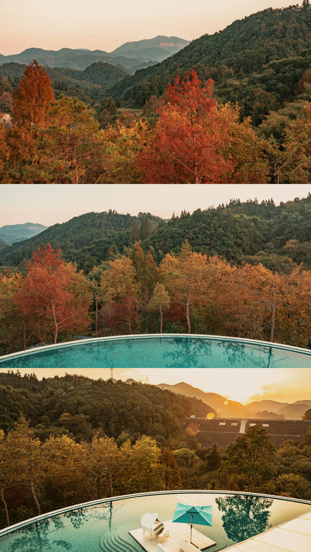 新昌,回山秋景已經藏不住了快衝呀 新昌,回山秋景已經藏不住了快衝呀