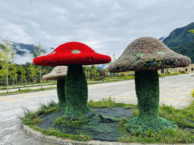 疊溪松坪溝地質公園！（862）