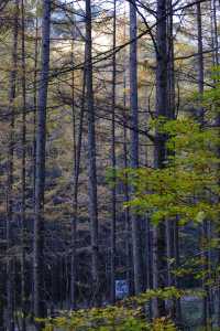 秦嶺留壩環線之情人谷