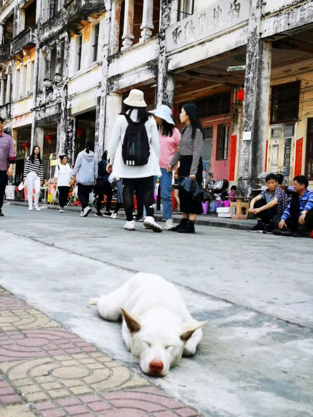 梅家大院百年騎樓探秘 梅家大院百年騎樓探秘
