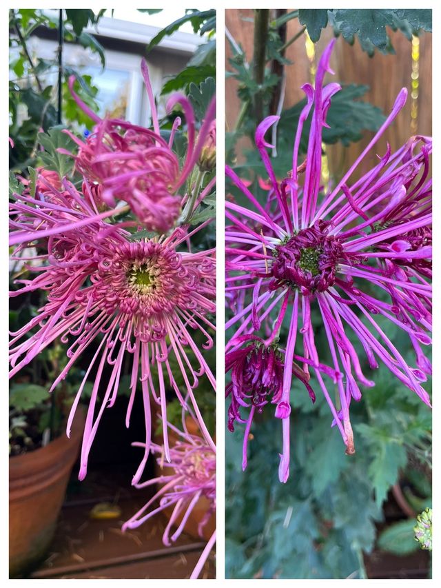 會澤的秋，打翻了的調色盤