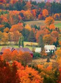 霜染鍋盔鋪錦繡 暖居枕秋入夢來