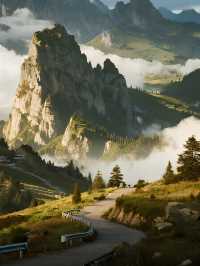 青西郊野公園親子賞秋水杉林免費遛娃攻略