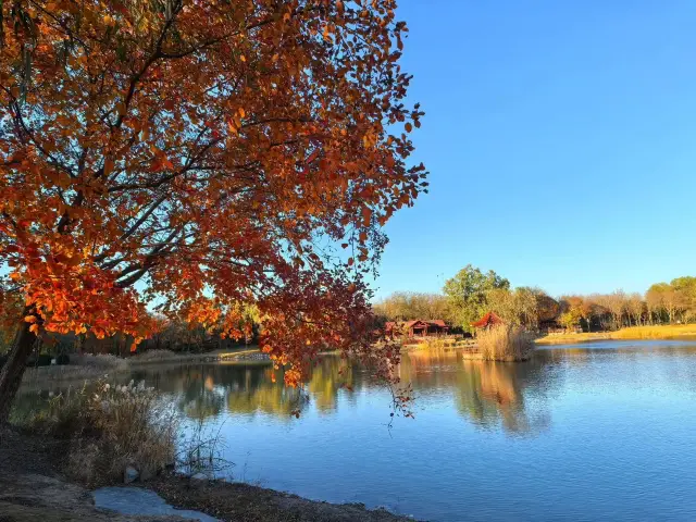 城中賞秋秘境推薦