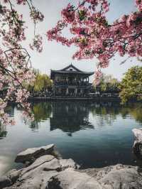 濟-泰-棗莊日遊 本地人強推