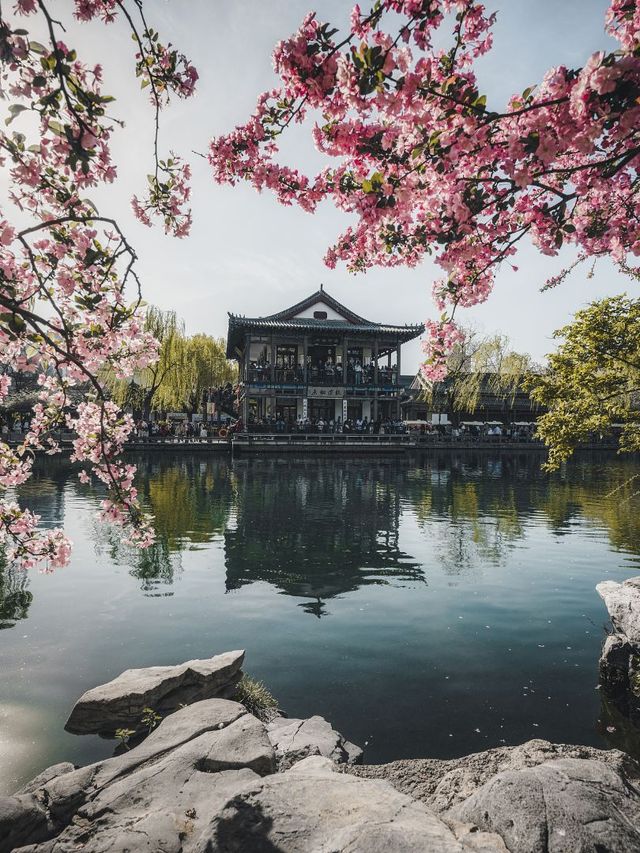 濟-泰-棗莊日遊 本地人強推