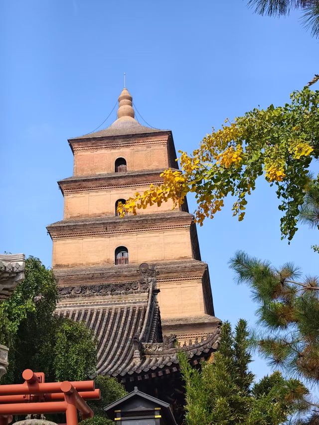 西安必打卡大雁塔這麼玩才不虧！