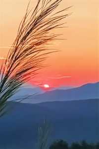 沉浸800年古村的曬秋畫卷與人間煙火