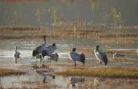 絕美日落觀鳥地