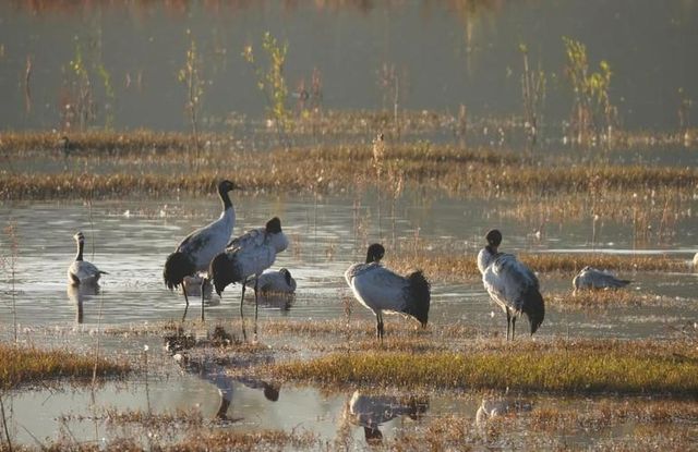 絕美日落觀鳥地