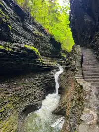 二遊紐約州Watkins Glen