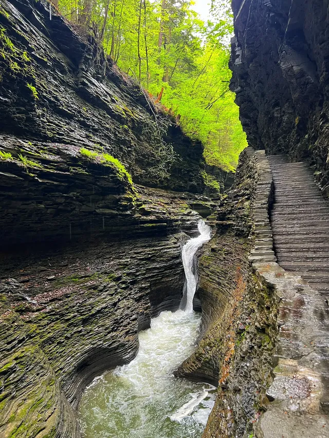 二遊紐約州Watkins Glen