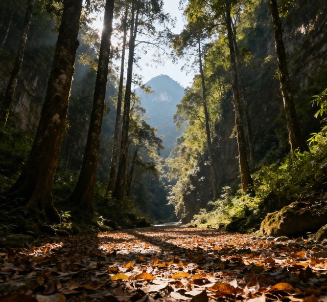 徒步金絲峽，遇見獼猴