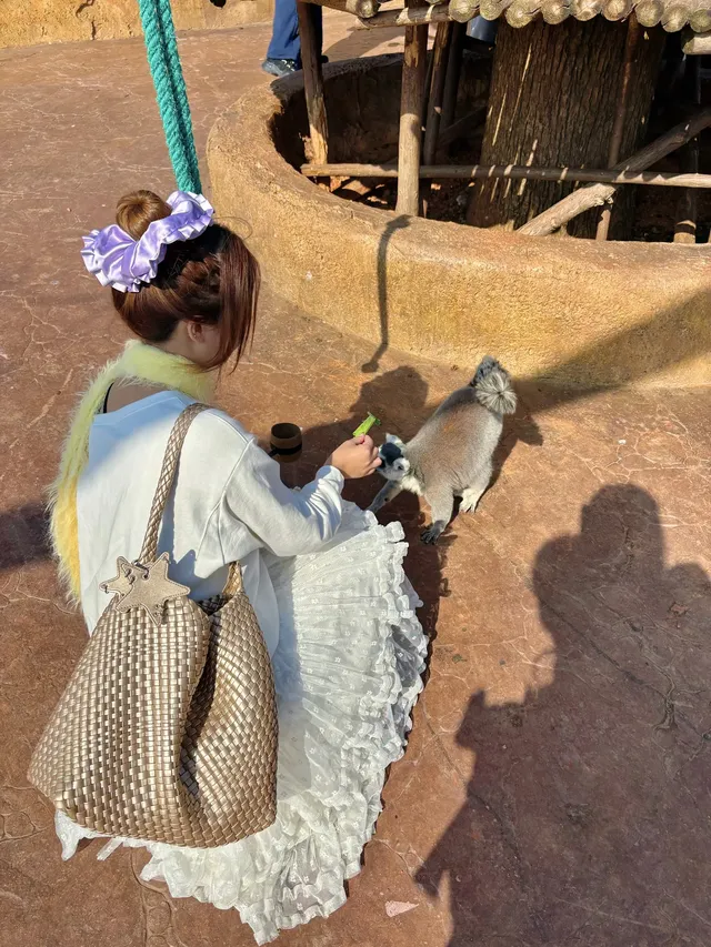 朋友圈問爆了!不是肯亞!是宜春 朋友圈問爆了!不是肯亞!是宜春