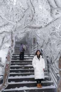 邊個明呀!昆明周邊想追雪,轎子雪山真係可以N刷都唔會厭!