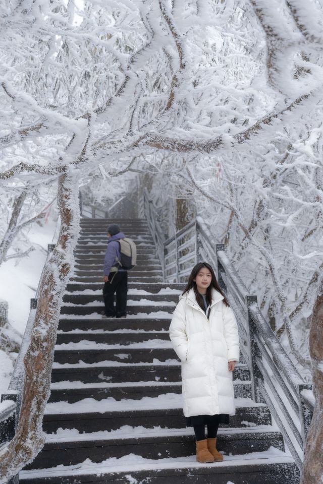 邊個明呀!昆明周邊想追雪,轎子雪山真係可以N刷都唔會厭! 邊個明呀!昆明周邊想追雪,轎子雪山真係可以N刷都唔會厭!