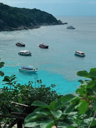 Koala Beach - Similan Island Hopping Tour