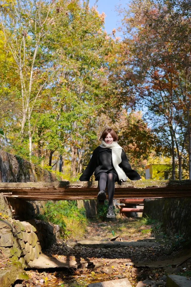 闖入金色童話世界!八都岕銀杏黃了 闖入金色童話世界!八都岕銀杏黃了