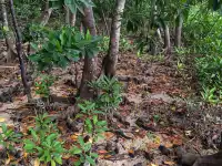 13天5k|馬代自由行詳細攻略選島篇