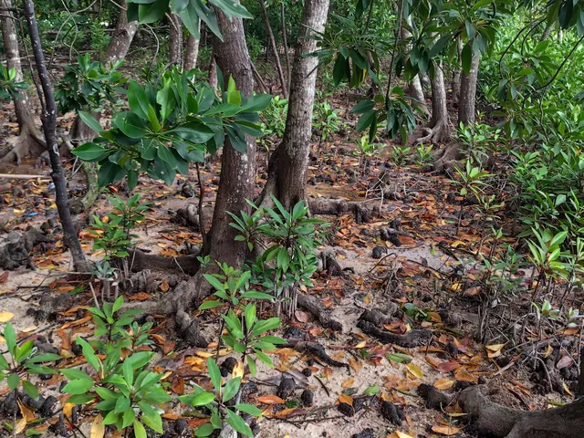 13天5k|馬代自由行詳細攻略選島篇