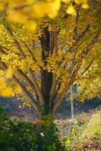 覆卮山小眾絕美民宿