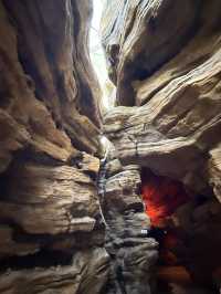 不愧是上海公園美到「未來感」拉滿