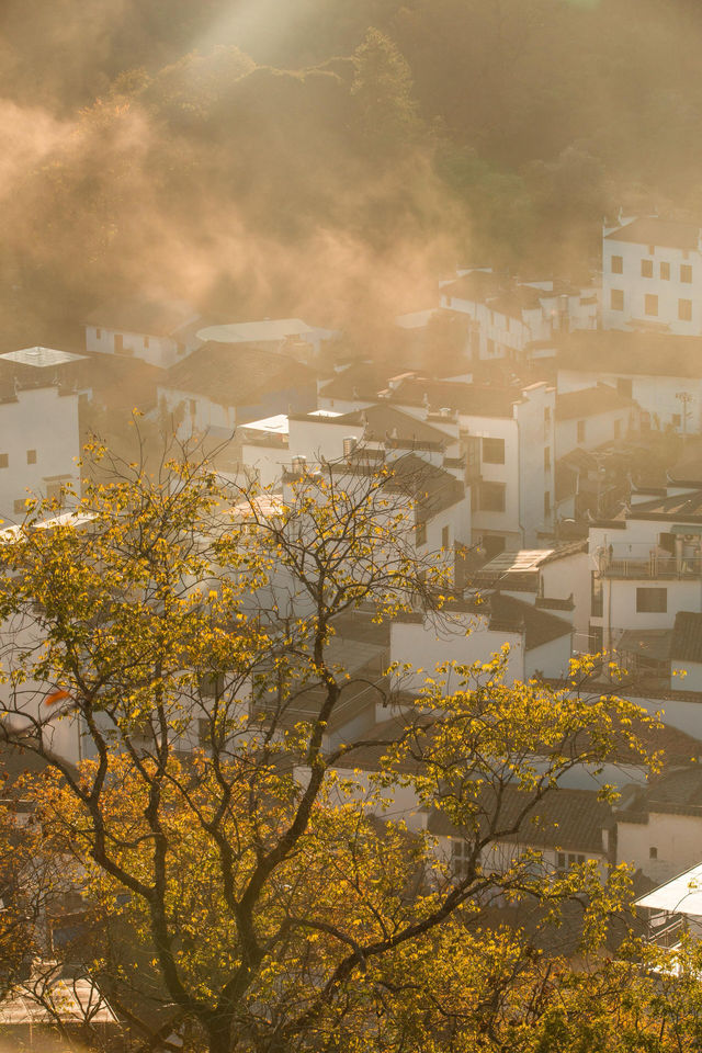 婺源石城秋日行攝全攻略｜沉浸於紅葉晨霧的水墨畫境